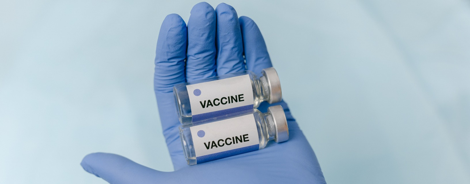 Собаку укусил клещ: чем можно заразиться, симптомы укуса, лечение ...