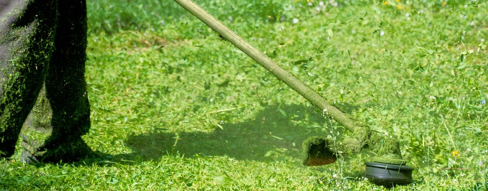 Чем отличается триммер от мотокосы, как выбрать инструмент, рейтинг ...