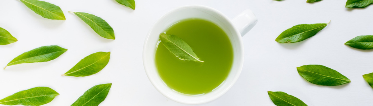 Какой листовой чай самый вкусный: топ-10 марок
