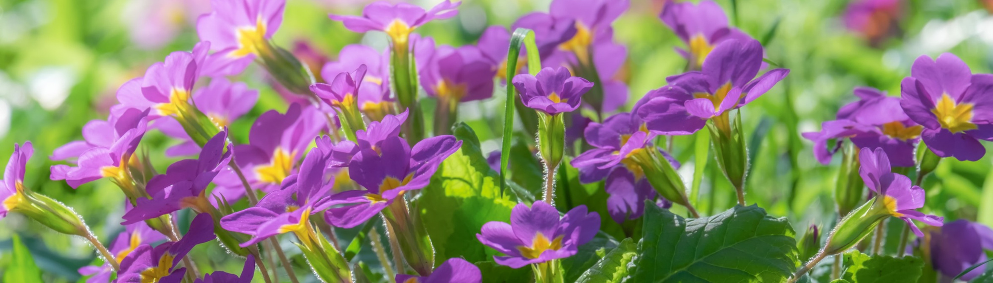 1aa9ae72-adbe-498f-934b-53c35b490dce