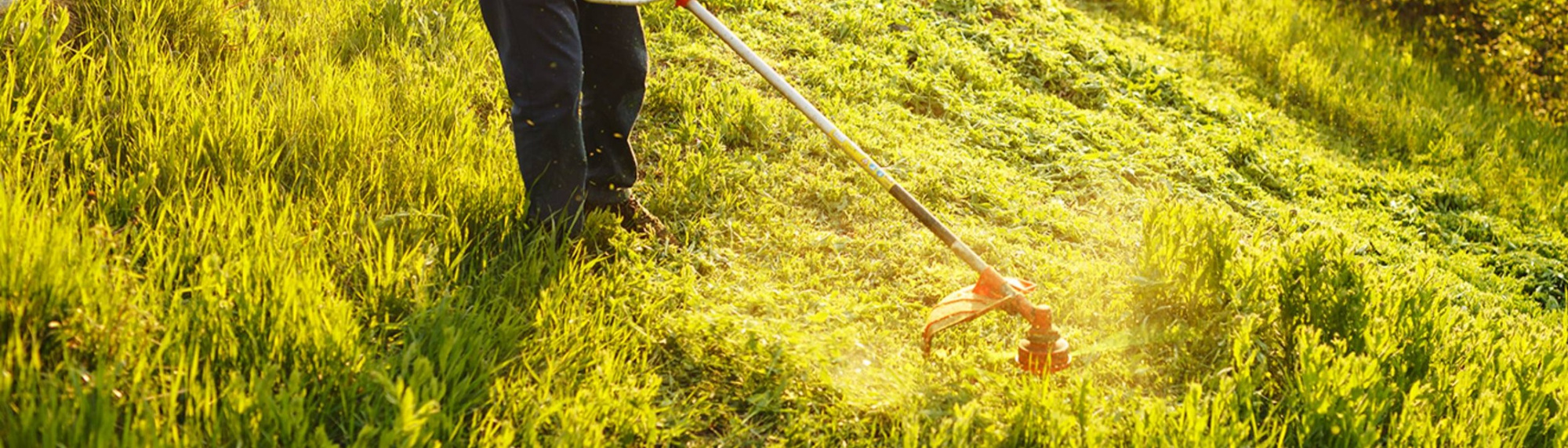 Чем отличается триммер от мотокосы, как выбрать инструмент, рейтинг ...