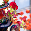 Китайский Новый год 2023: даты и особенности праздника