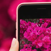 Motorola выпустили смартфон в&nbsp;культовом цвете Viva Magenta