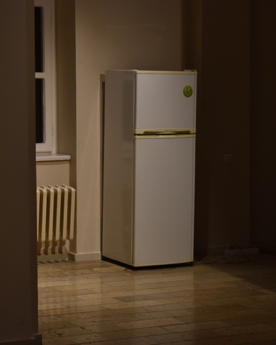 Ремонт холодильников Электролюкс на дому в Москве