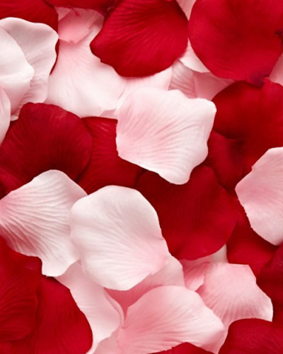Как правильно засушить лепестки роз — Читайте в блоге «Городской Базы Цветов»