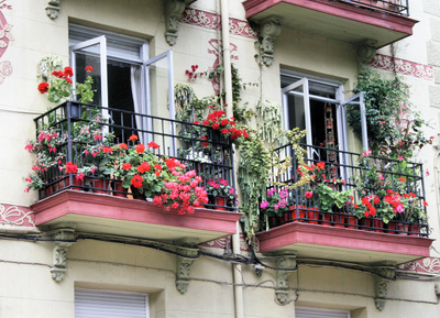 8 правил при&nbsp;озеленении балкона