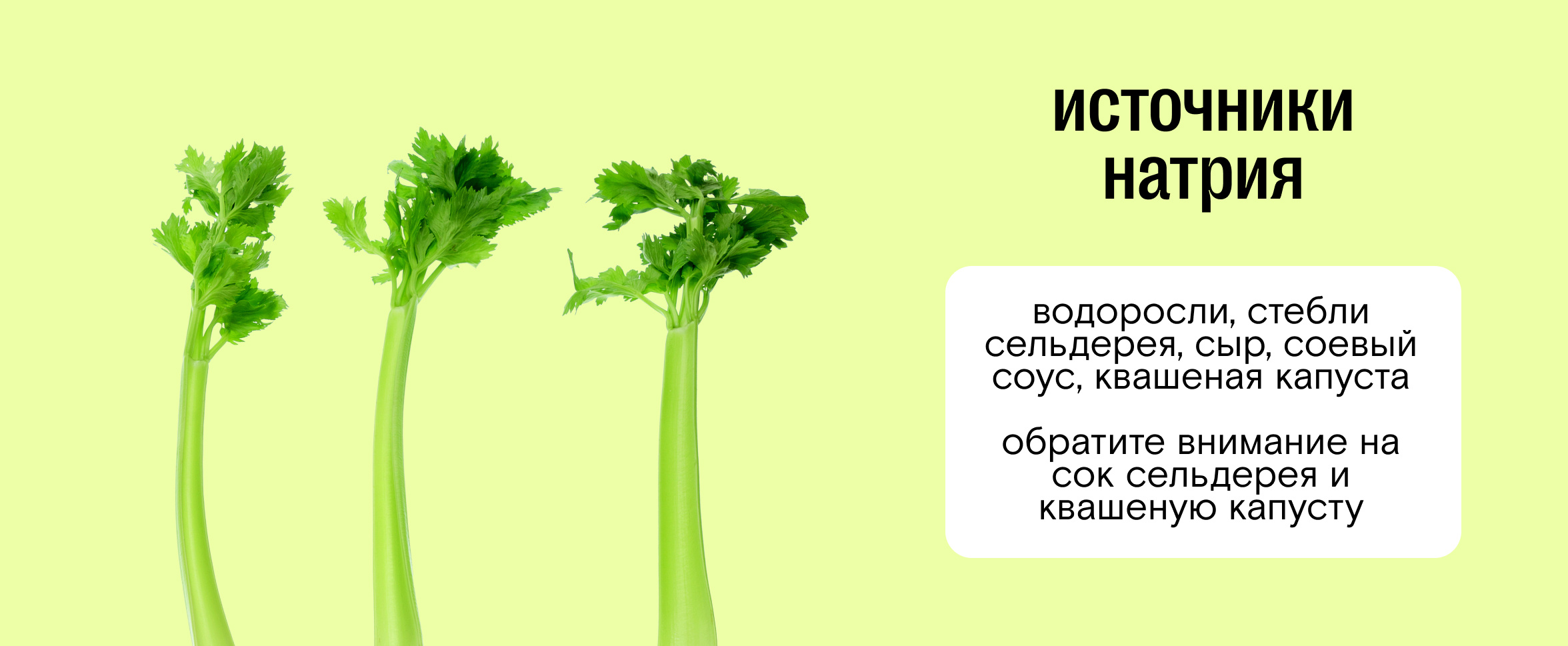 Какие минералы нужны организму человека: какие есть минералы и где  содержатся — Ozon Клуб