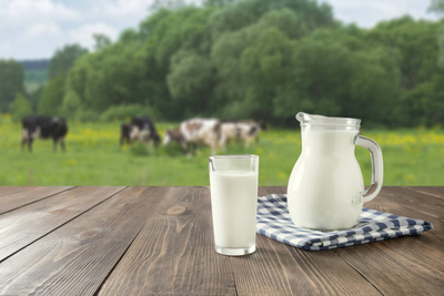 Учёные: употребление молока увеличило рост и вес древних людей