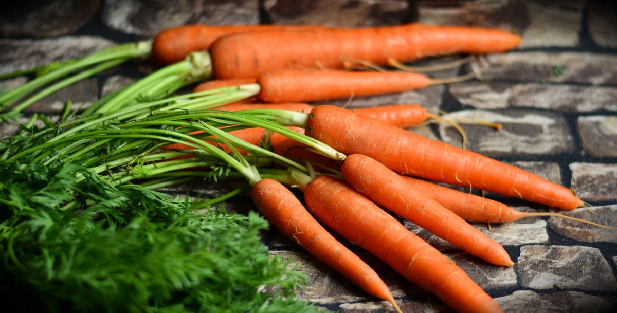 Как посеять морковь: 4 секрета удачного урожая — Ozon Клуб