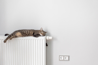 Как выбрать радиатор отопления: основные характеристики