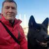 DOG Очки защитные, цвет: Прозрачный, 1 шт. купить на OZON по низкой ...