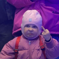 Смазка синяя высокотемпературная МС 1510 BLUE литиевая комплексная 200 ...