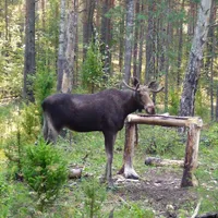 Руслан Ш.