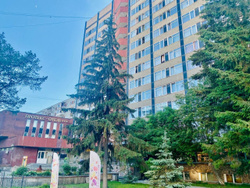 Протекс-Отель 3*