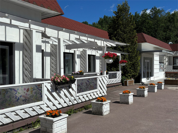Отель Кировские дачи 3*