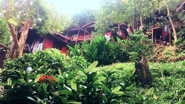 Phi Phi Hill Resort
