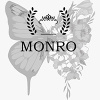 MONRO PROFESSIONAL