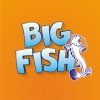 BigFish & ARN Baits