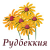 Рудбеккия