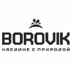 Borovik_design