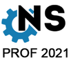 NS-Prof 2021