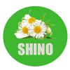 Shino