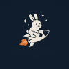 BUNNYVERSE