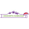 Аманита Кавказа (Amanita Muscaria)