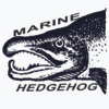 Marine Hedgehog