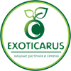 EXOTICARUS