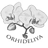 Orhidelia