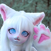 Fursuit kig shop