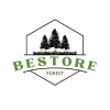 Bestore forest