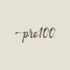 PRO100 LLC