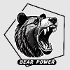 BearPower