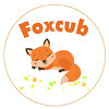Fox cub