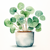 Pilea Home