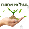 Питомник Тума