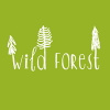 wild forest wood