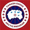 Canada Goose