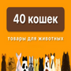 40Кошек