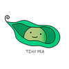 Tiny Pea