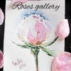 Roses gallery