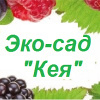 Кея-Сад