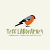 Столярная мастерская Tree Laboratory