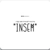 INSEM