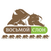 Восьмой Слон