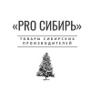 PRO Сибирь