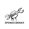 ПРОФЕССИОНАЛ