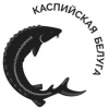 Каспийская Белуга